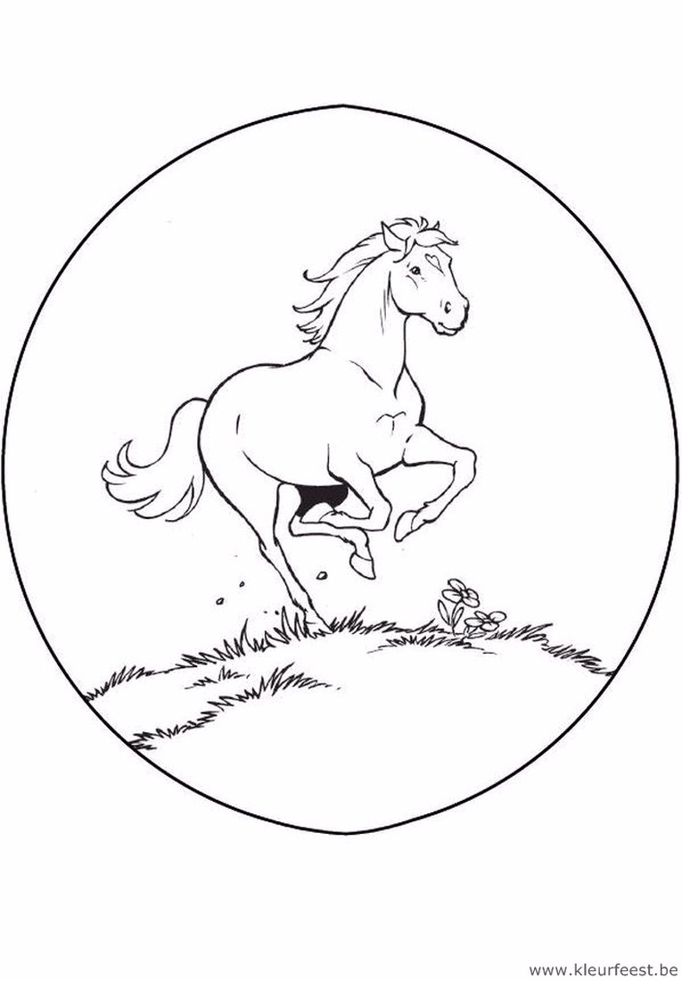 Kleurplaat