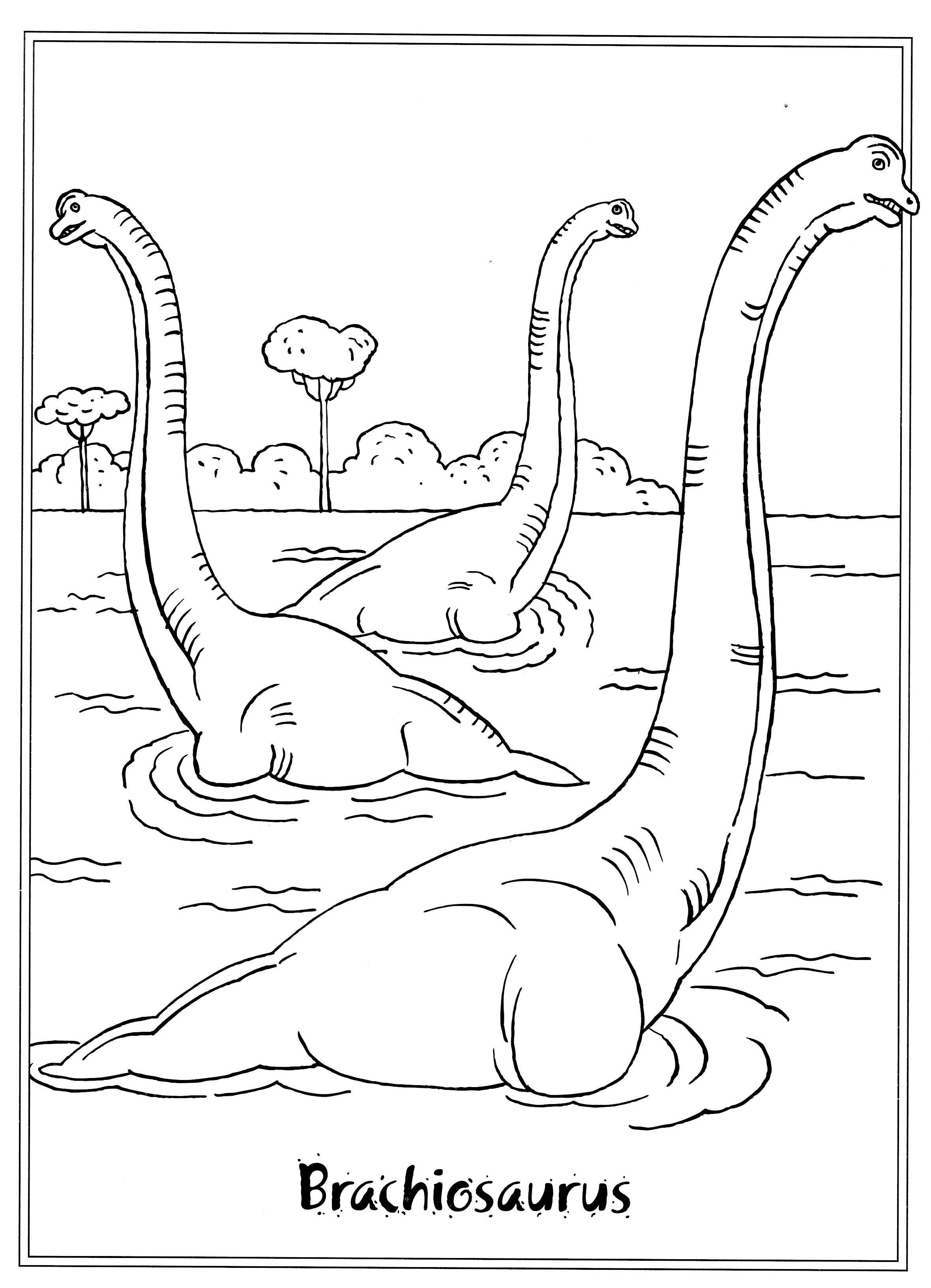 Kleurplaat