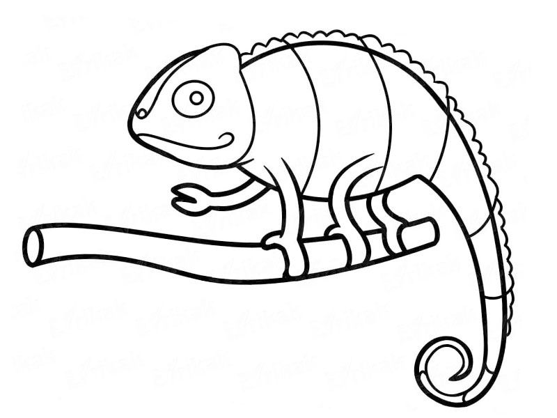 Kleurplaat
